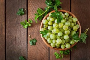 Triphala banner