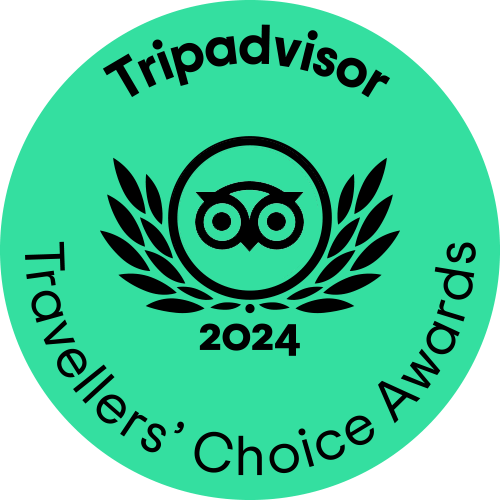 TC green winner gif LL 2024