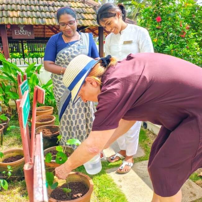 Ayurveda Garden resort new