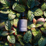 Blended Massage Oil image 5