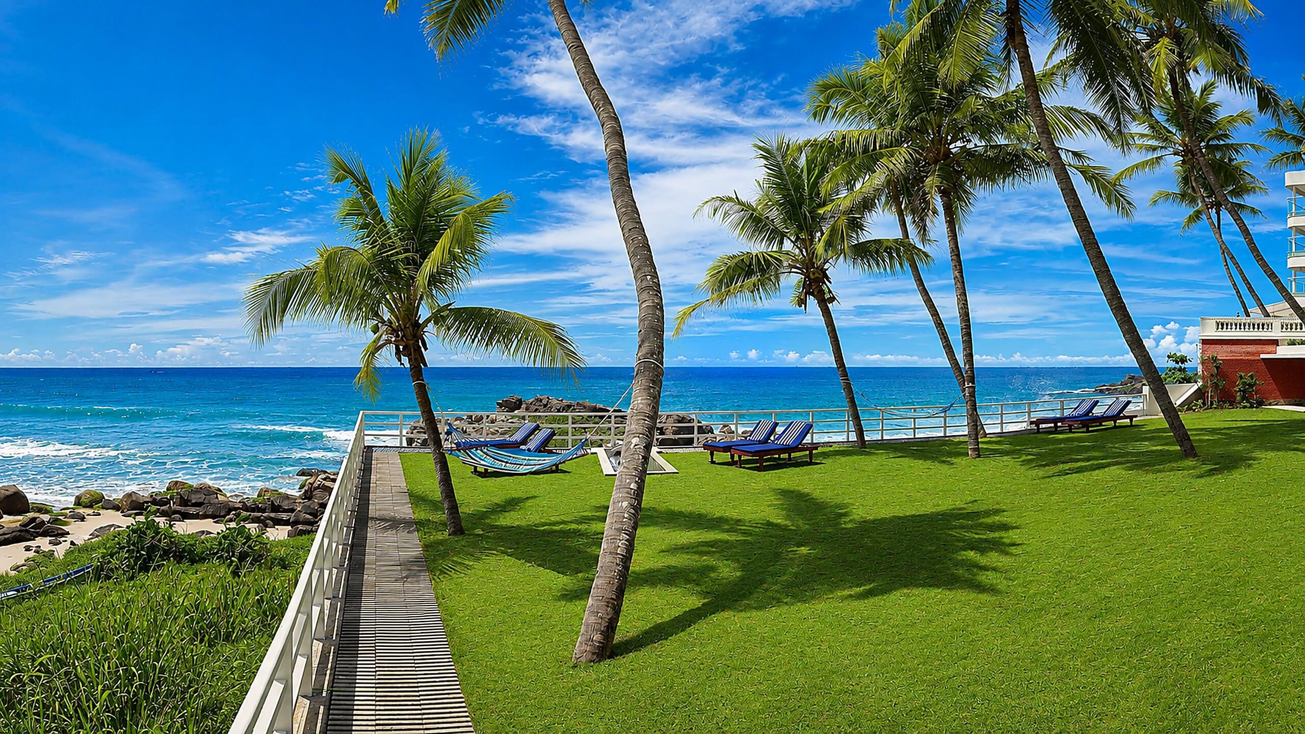 06_beach-sweep-2-palms
