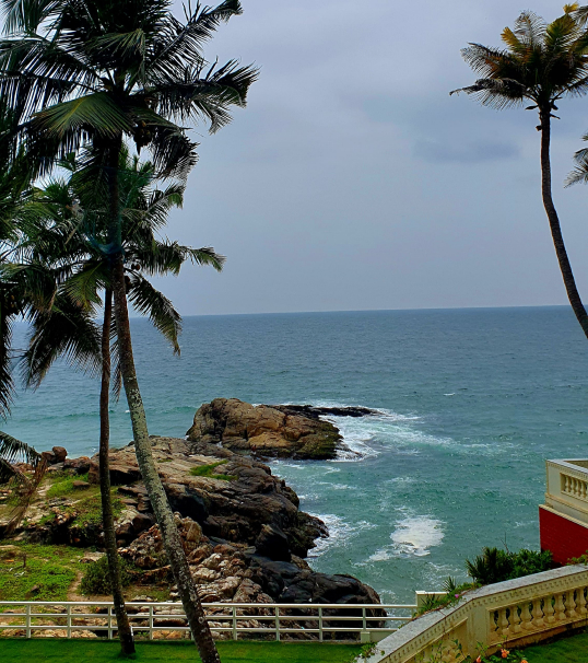Healing with a View content