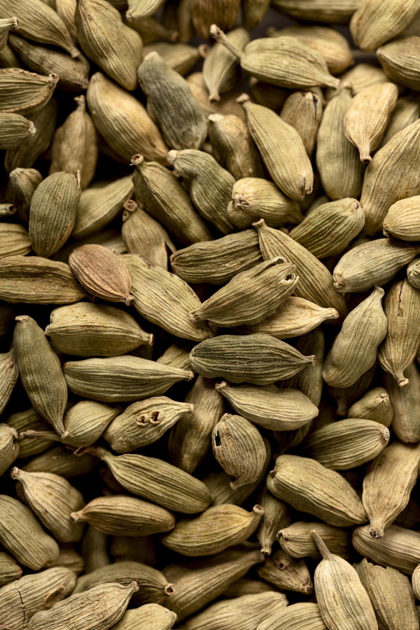 high angle grounded nutmeg scaled